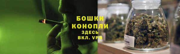 ALPHA PVP Горно-Алтайск