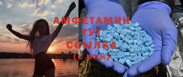 амф Вязьма